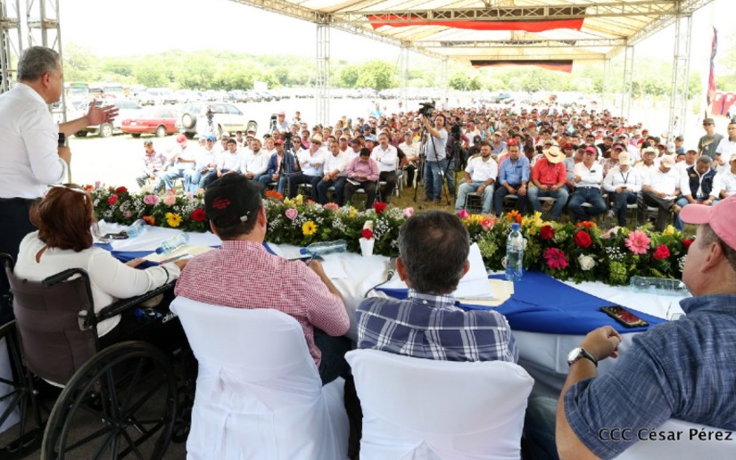 ganaderia 
